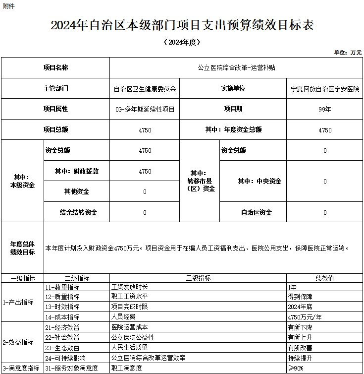 自治區(qū)寧安醫(yī)院2024年自治區(qū)本級單位項目支出預算績效目標